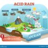 Supplements for Acid Reflux Your Guide