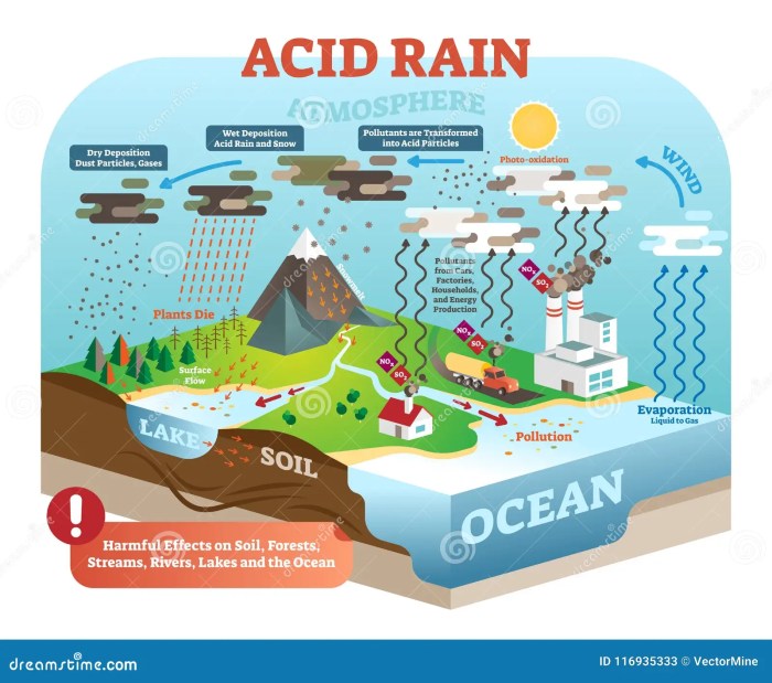 Acidic Amino Acids Supplements for acid reflux