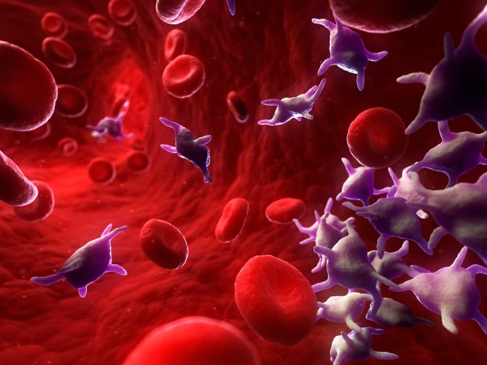 What Are Platelets? Platelet rich plasma prp injections