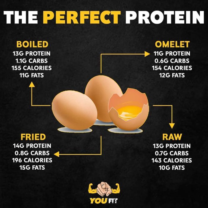 How Much Protein In 3 Eggs - Whole, Scrambled, or Boiled How much protein in an egg