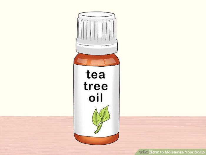 How to Moisturize Your Scalp A Comprehensive Guide