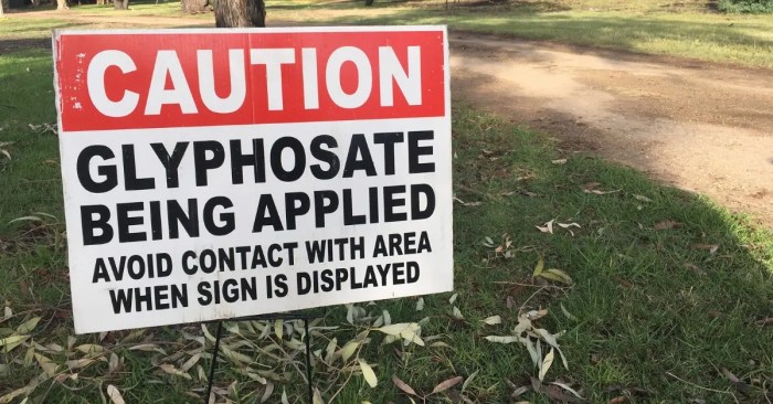 Banza Does banza have too much glyphosate
