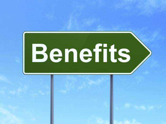 The Benefits of Allowing Employees a Flexible Schedule The benefits of pelargonium
