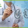 How to Keep Kidneys Healthy A Guide