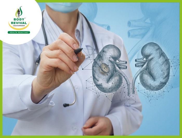 How To Keep Kidneys Healthy: Ways To Keep Your Kidney Healthy How to keep kidneys healthy