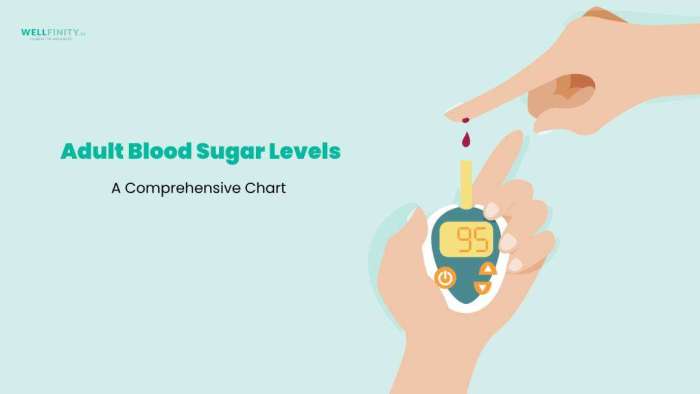 Elderly Blood Sugar Levels Chart A Guide