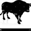 Bulls Eye Maculopathy Overview and More