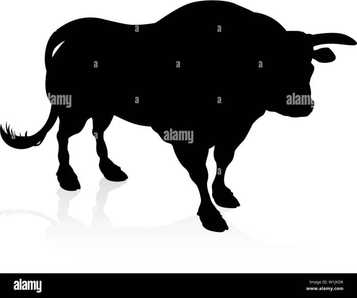 Bull s eye maculopathy overview and more