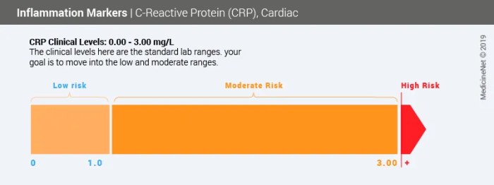 What is the CRP Test? Understanding C-Reactive Protein