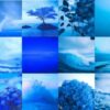 PCOS Truths Hidden in Plain Sight