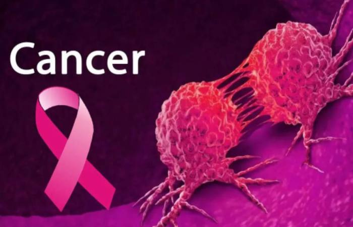 What are cancer cells