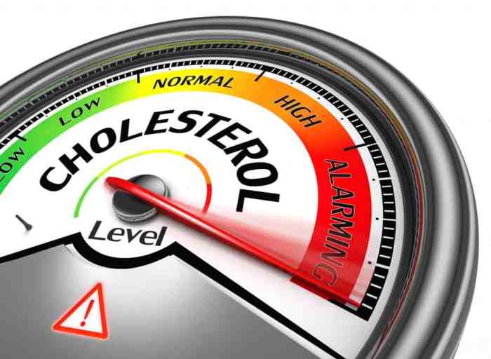 Cholesterol Heart Disease and African Americans A Deep Dive
