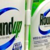 Banza Glyphosate Too Much of a Good Thing?
