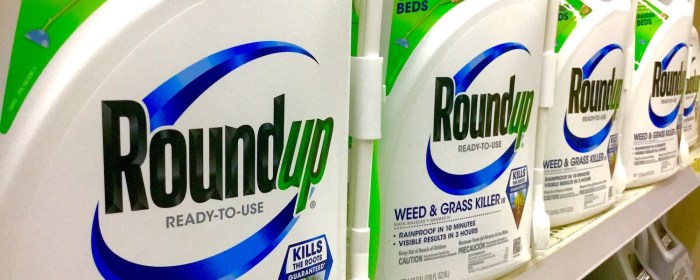 Does banza have too much glyphosate