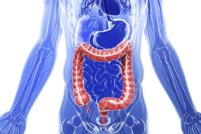A Tour Of The Digestive System : Konzen, Taylor: Amazon.co.uk: Books Tour the digestive system