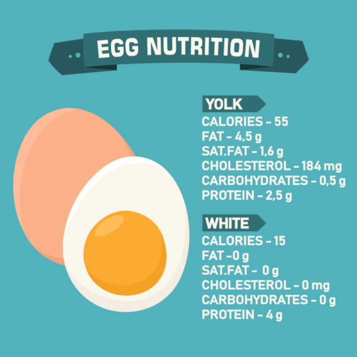 How much protein in an egg