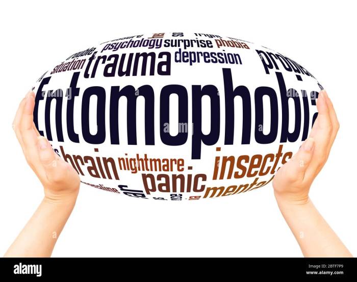 Entomophobia definition symptoms causes treatments
