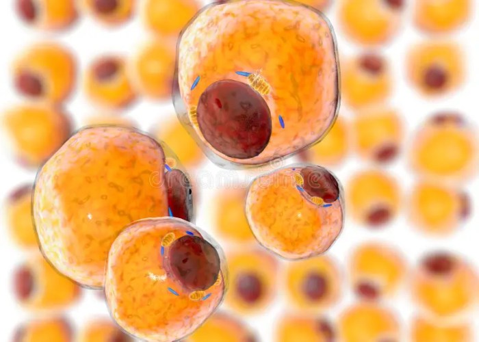 What is adipose tissue