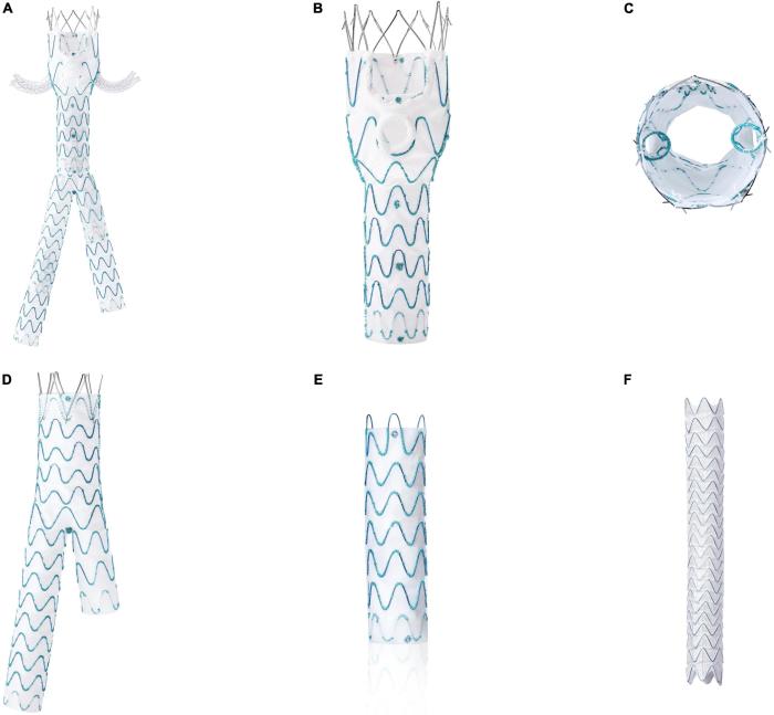 Graft-versus-host disease - The Lancet How graft versus host disease gvhd is diagnosed