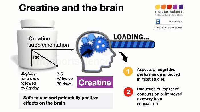 Creatine, cognition, and concussion: What does the evidence really show? Can creatine boost cognition