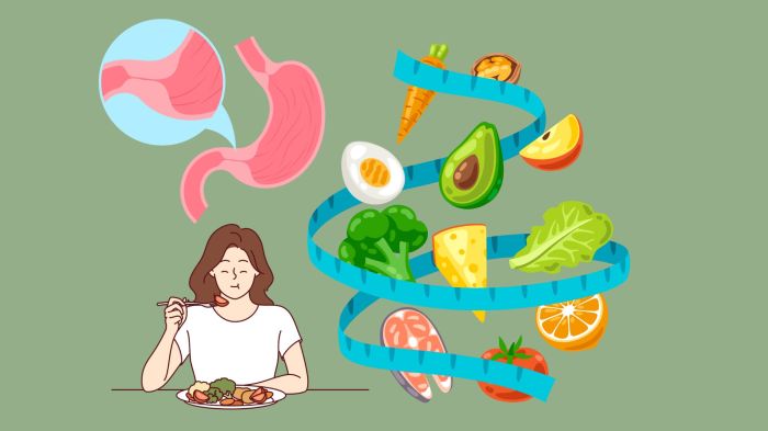 How to Follow a Gastroparesis Diet A Guide