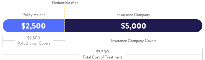 Calendar Year Deductible Vs Plan Year Deductible - Alyse Bertine What is an embedded deductible how does it work