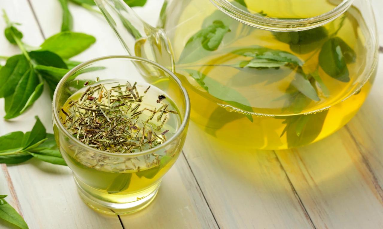 Egcg supplement benefits and safety