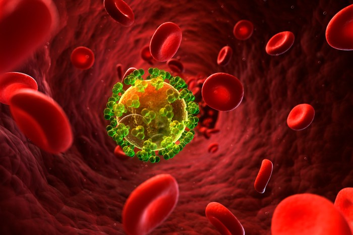 Hiv in black men increased risk facts testing resources