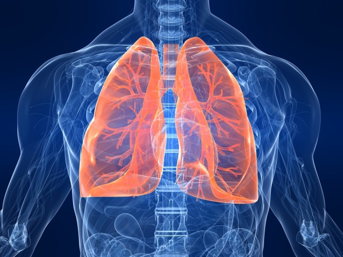 Lung Cancer with EGFR Mutation A Comprehensive Guide
