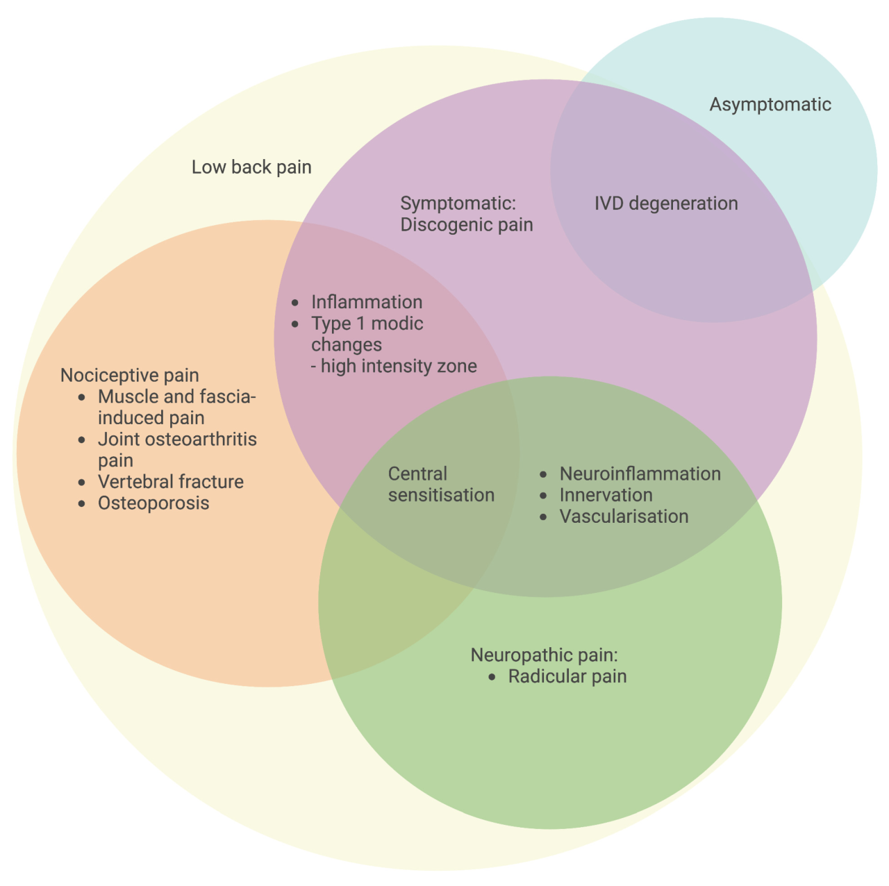 JCM | Free Full-Text | Updates on Pathophysiology of Discogenic Back Pain What is discogenic pain