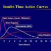 Type 2 Diabetes Diet Your Guide to Healthy Eating