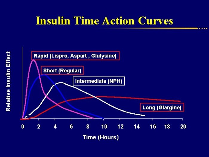 Type 2 Diabetes Diet Your Guide to Healthy Eating