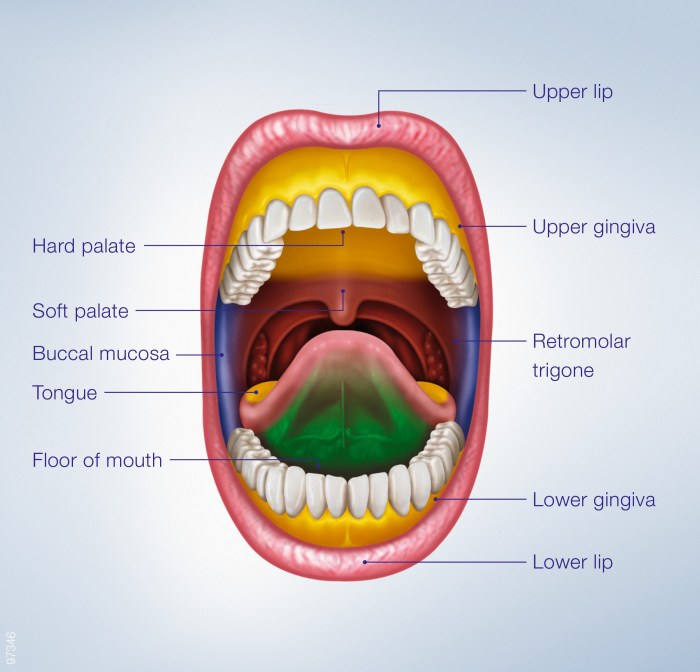 What is Oral Cancer A Comprehensive Guide