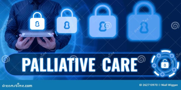 Inspiration Showing Sign Palliative Care. Business Concept Specialized ... What is palliative care