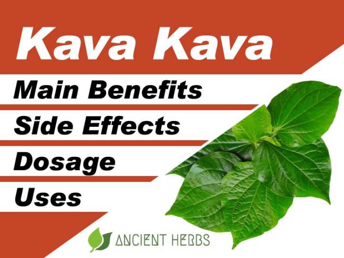 Kava uses risks and more
