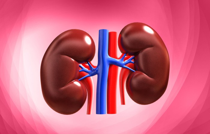 Can Kidney Stones Cause UTIs?