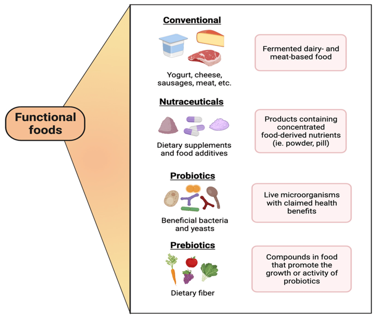 Candida Diet Foods to Avoid A Comprehensive Guide