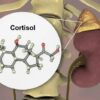 Cortisol Test What to Expect A Comprehensive Guide