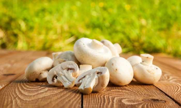 Foods rich in vitamin d