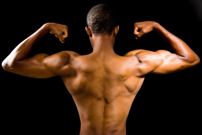 Want to build more muscle? Keeping a healthy gut is crucial, study shows - Gut Health News Muscle stiffness symptoms causes and treatment