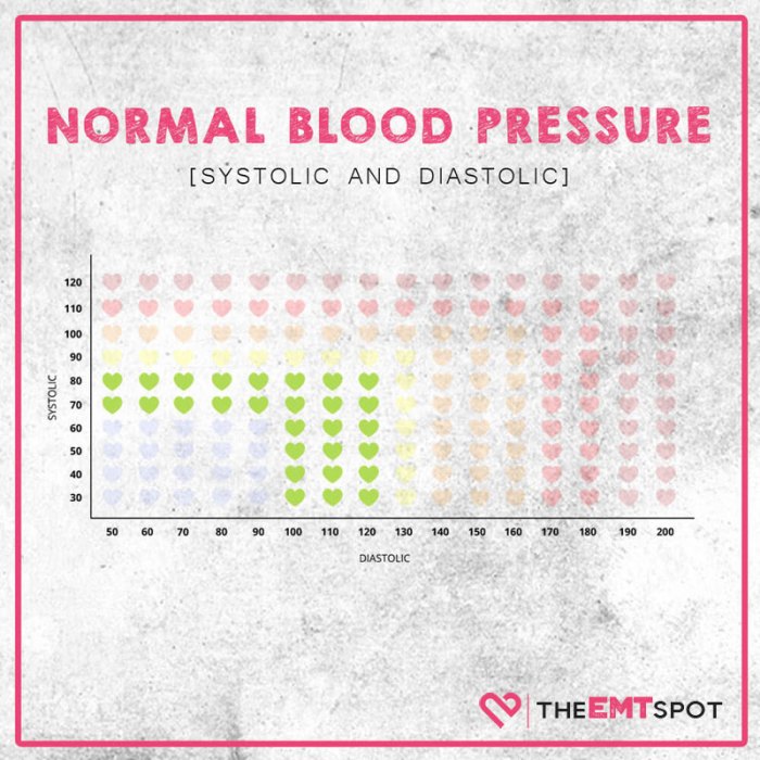 PPT - Blood Pressure Basics PowerPoint Presentation, free download - ID ... Normal blood pressure fluctuations throughout the day