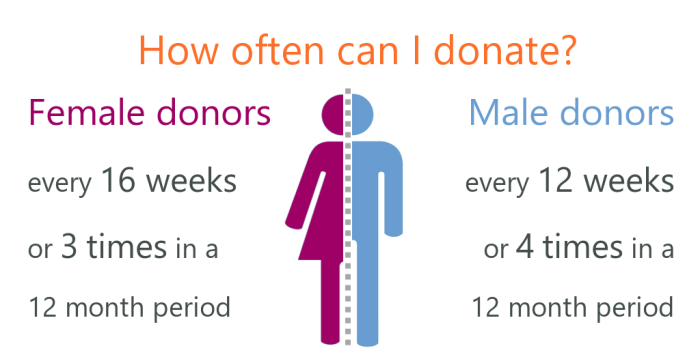 How Often Can You Donate Blood? Your Guide