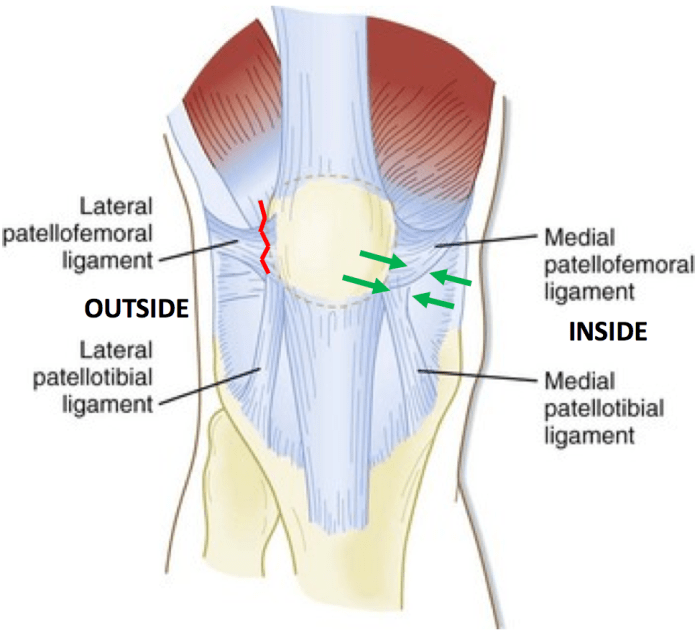 Patella anatomy function and treatment