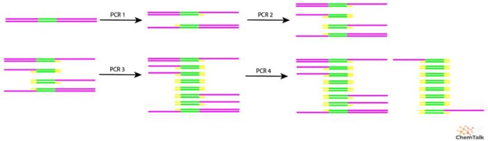 Pcr vs rapid test for covid 19