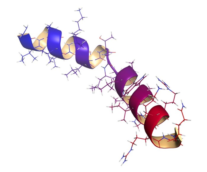 Polypeptide chain hi-res stock photography and images - Alamy What is a peptide