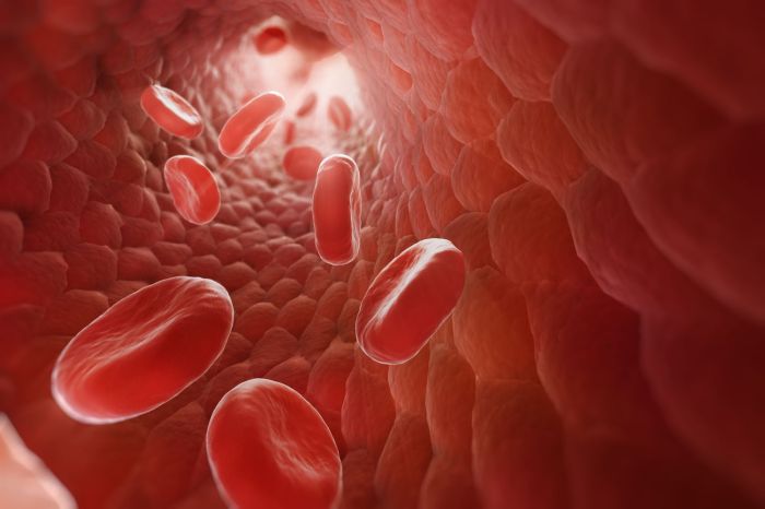 12 Interesting Facts About Blood 12 Interesting Facts About Blood