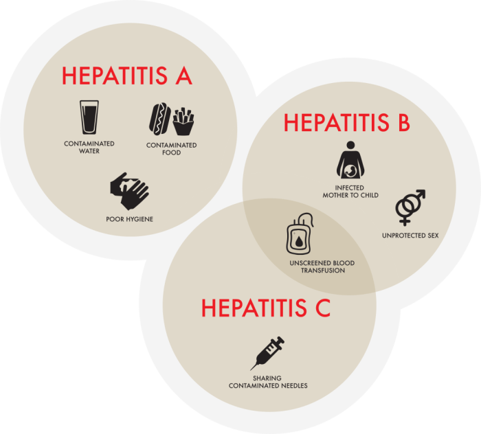 Hepatitis C - diagram indicating the effects of Hepatitis C ... Which hepatitis is the worst