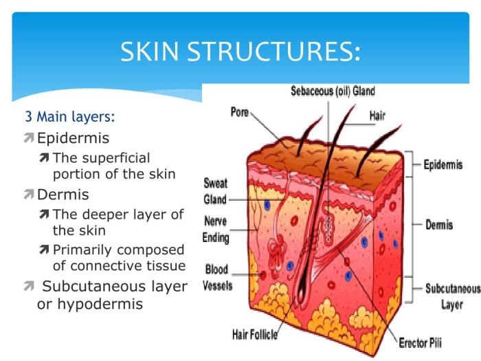 Types of skin lesion pictures causes and treatment