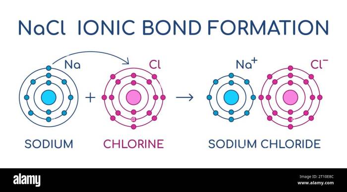 Sodium sodium or salt sodium functions sodium and diet