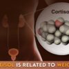 The Cortisol Weight Loss Controversy Debunked?